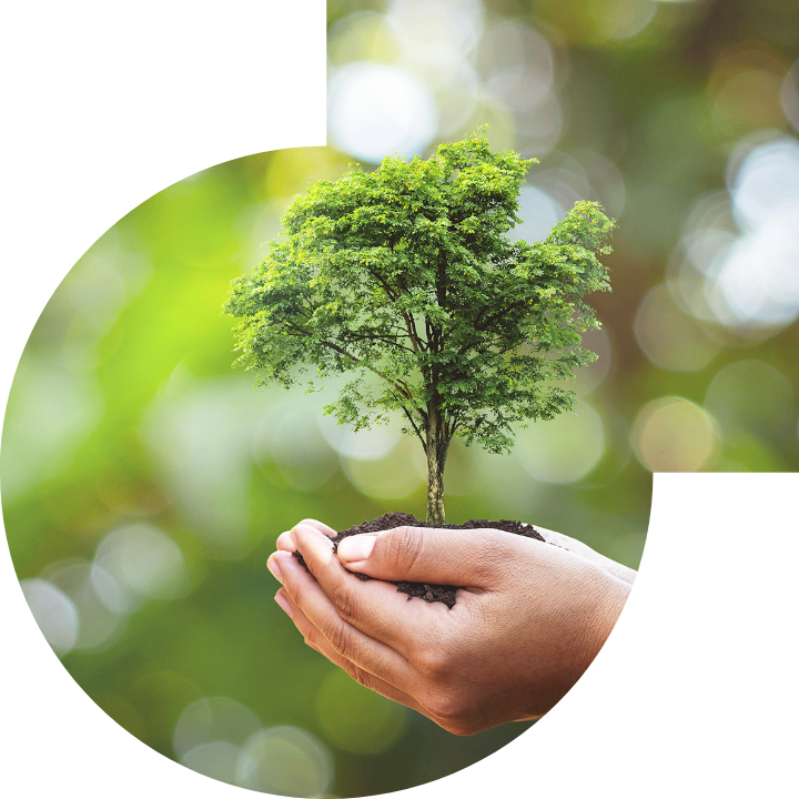 关怀人类、文化、环境与社会